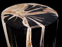 petrified wood stool